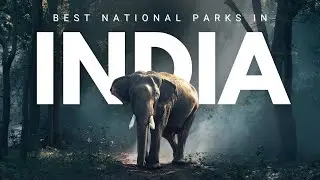 Top 10 National Parks in India You Must Visit 🐅🌿 | Hidden Wildlife Gems Revealed!