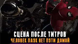 Сцена после титров Человек Паук 3 Нет Пути Домой с Веномом !