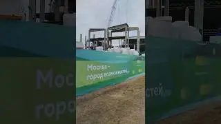7 октября 2024 г.