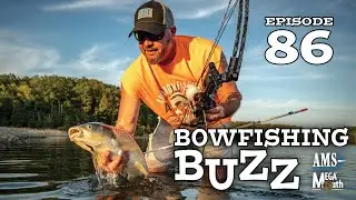 The Billion Dollar Fish Problem. Silver Carp Specie Breakdown (Ep. 86)