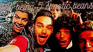 One Direction being comedians for 1min 14 seconds straight || Pottah is 1Derful