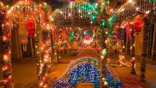 Urs mubarak 22 may