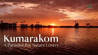 The Best Things to See and Do in Kumarakom | Kerala Tourism 