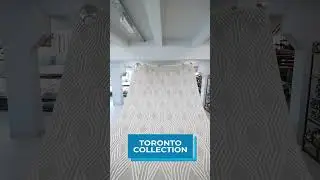 "Toronto" 👀