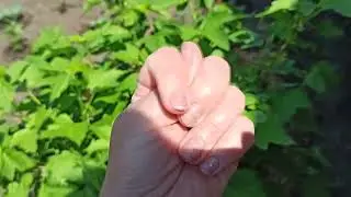 Щас спою, Снова потеря, как Спасти Всех