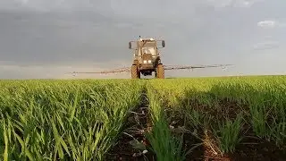 Листовая подкормка Пшеницы карбамидом! фунгицид инсектицид!!