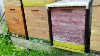 Про украинскую рамку, и про ос. ))