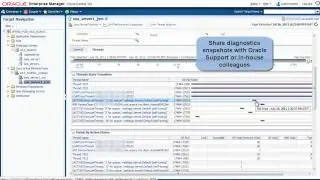 Oracle Enterprise Manager 12c: Capturing Diagnostic Snapshots