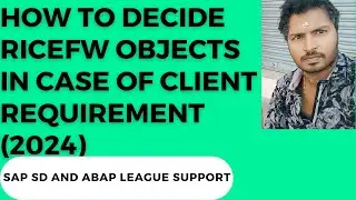 How to decide RICEFW objects in case of client requirement (2024)