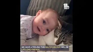 Cuteness Overload: Baltimore baby snuggles cat