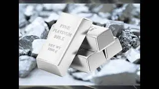 Platinum Coins and Bars