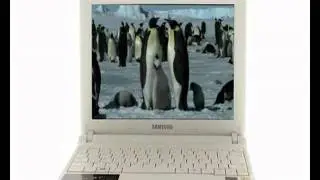 samsung netbook np-n150.mpeg