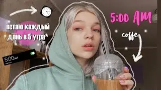 ВСТАЮ В 5 УТРА КАЖДЫЙ ДЕНЬ | *productive*