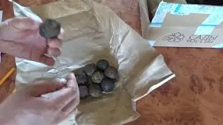 Семенной картофель из 