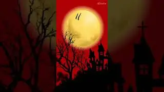 Halloween 🎃
