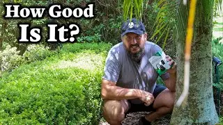 HBN Outdoor Light Timer Review: Is it Worth the Hype?