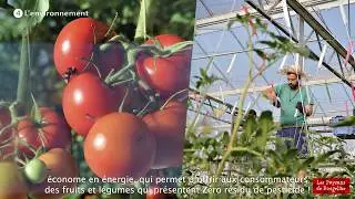 La RSE au cœur de l'entreprise. L'environnement.