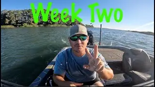 Putting the Pieces Together on the California DELTA