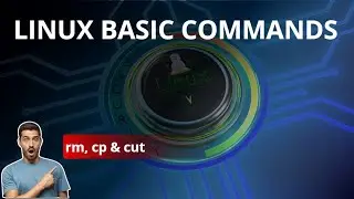 How to use cp, mv and rm command in Linux with Examples Explaination