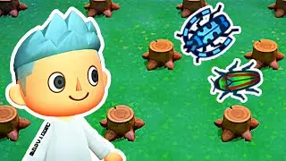 🦗Tree Stump Farm - How To Catch Rosalia Batesi & Jewel Beetle in Animal Crossing New Horizons🦗