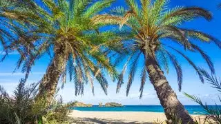 Vai Beach - The Largest Palm Forest in Europe - Crete - GREECE - 4K