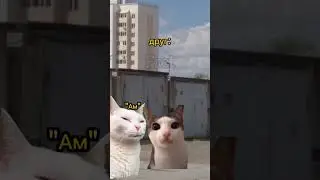 Зачем он съел? 😰 