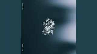 Wallflower
