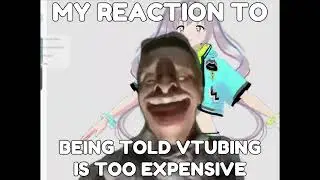 mfw vtubing expensive