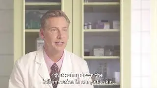 Skin Support Plus