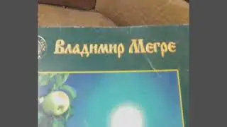 Вдадимер Мегре,о чёмто!))