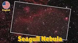 Seagull Nebula - The biggest bird in the night sky