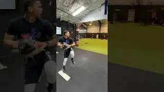 Yorlin Calderon - NY Yankees Prospect