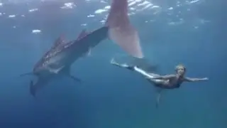 Стихотворение Русалка