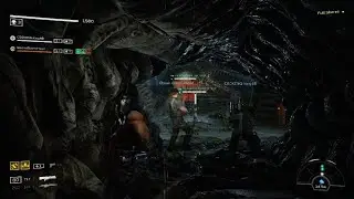 Bug Hunt