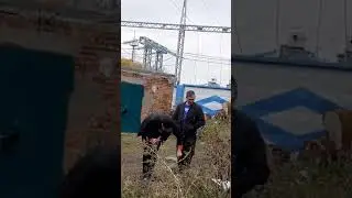 Жги балалаишник
