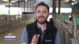 İneklerde ayak ve döl tutma sorunları? Yerinde tedavi! Çiftlik Danışmanım