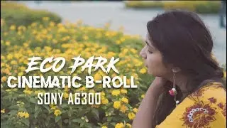 Eco Park Kolkata: Cinematic B-Roll | Eco Tourism Park | Shot with Sony a6300 + 30mm Sigma f/1.4