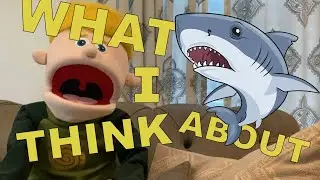 What I think about-