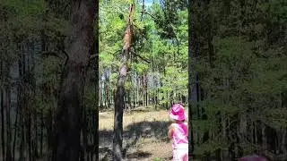 Влог уже на канале👇