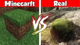 MINECRAFT GRASS BLOCK IN REAL LIFE! Minecraft vs Real Life