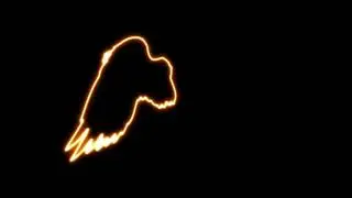 Neon wings | Free Black screen