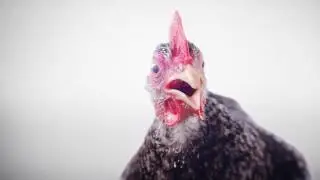 Мобильное приложение 