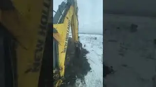 курнул 🤣