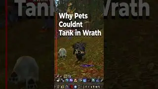 The Untold Story of Hunter Pets' Inability to Tank in Wrath