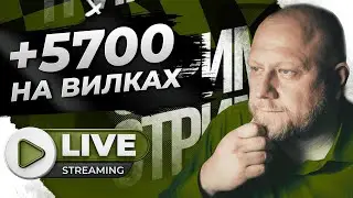 Вилкуем  в прямом эфире| + 5700 рублей за час