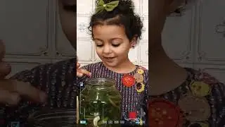 Դանդուռի թթու։ Չստացված կադրեր 🤣
