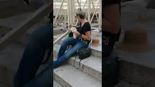 Чайки Ватикана