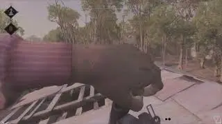 Hunt showdown