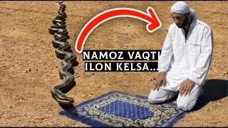 Намоз вақти илон келиб қолса...