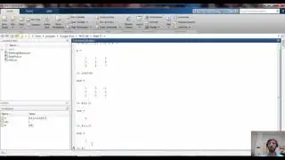 Working with Matrices in Matlab